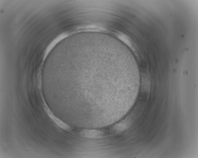 X0000082701474200702232217