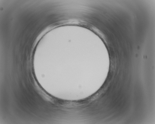 X0000082701475200702232217