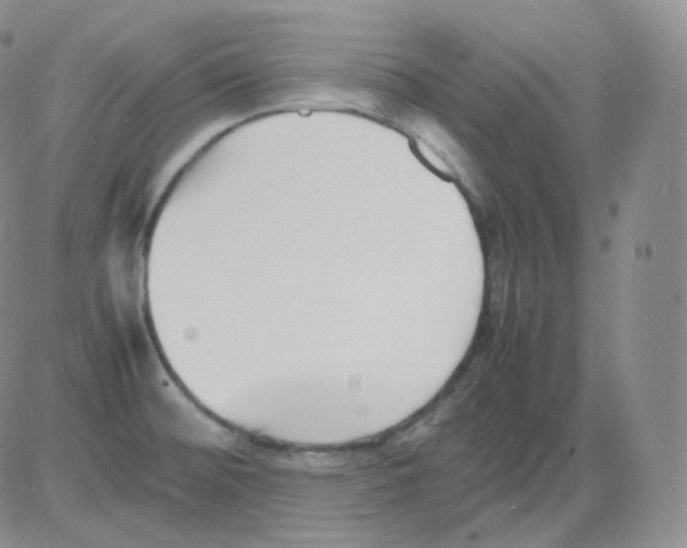 X0000082701476200702232217