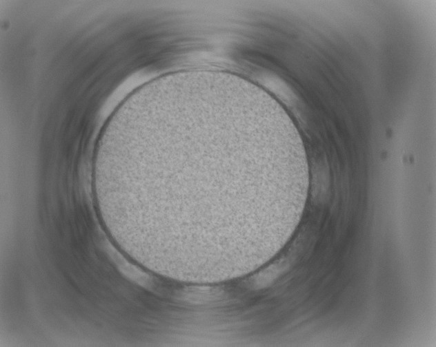 X0000082701478200702232217