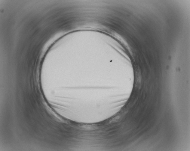 X0000082701480200702232217