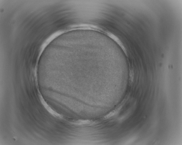 X0000082701482200702232217