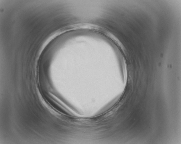 X0000082701483200702232217