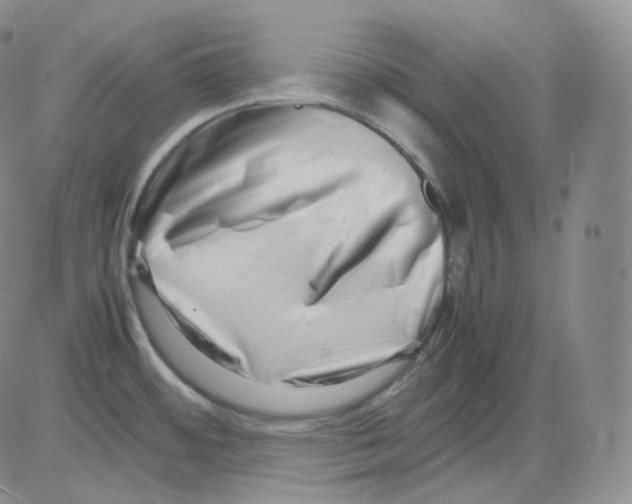 X0000082701484200702232217