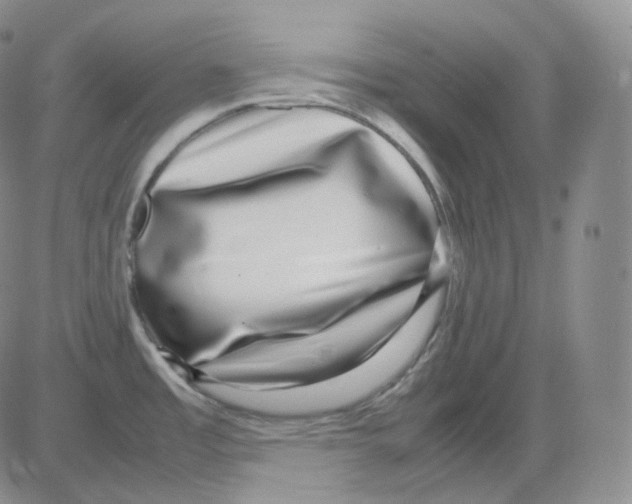 X0000082701485200702232217