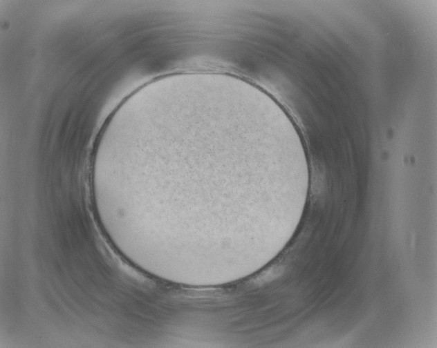 X0000082701486200702232217