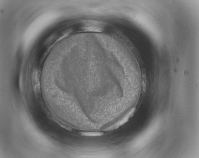 X0000082701487200702232217