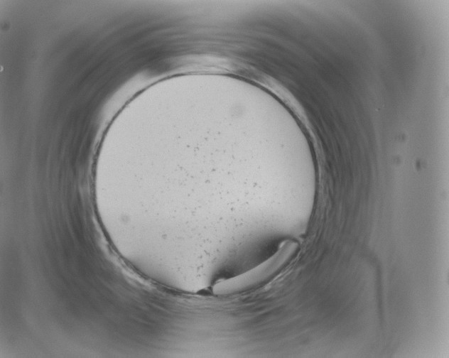 X0000082701488200702232217