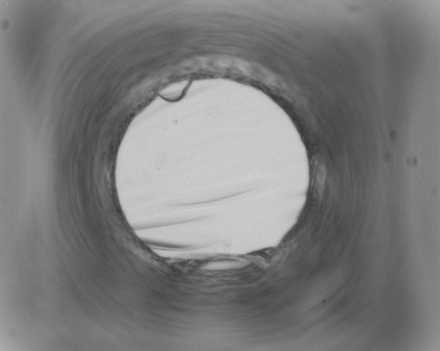 X0000082701489200702232216