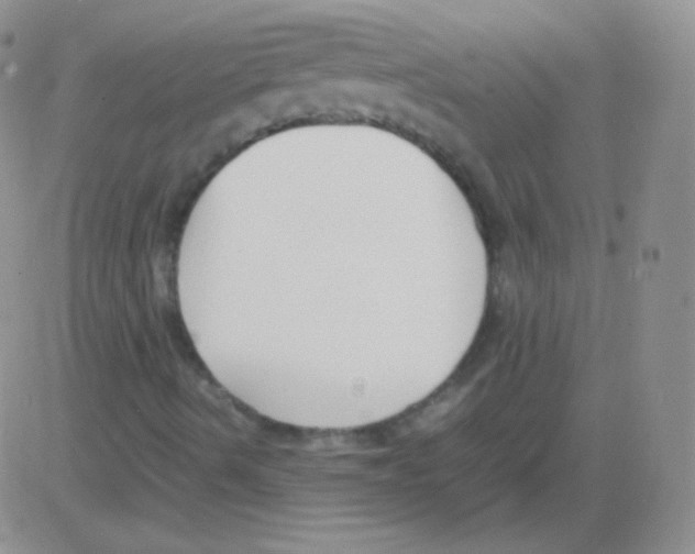 X0000082701490200702232216