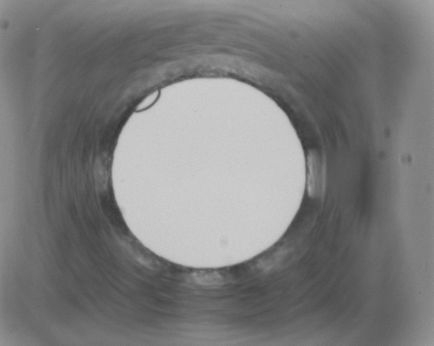 X0000082701491200702232216