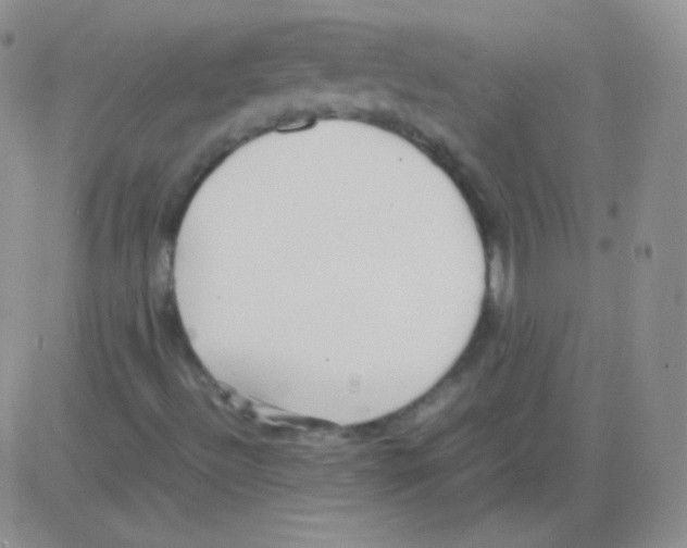 X0000082701492200702232216