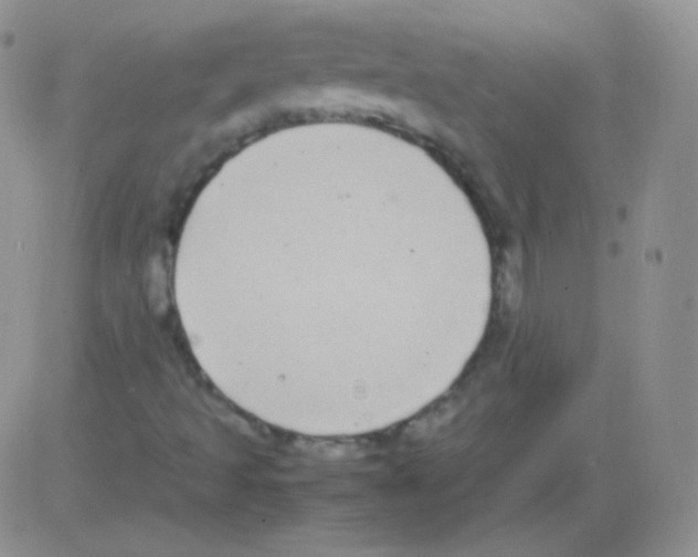 X0000082701493200702232216