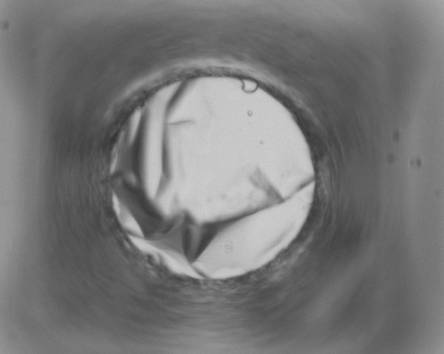 X0000082701494200702232217