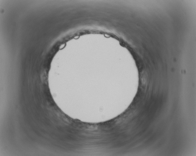 X0000082701495200702232217