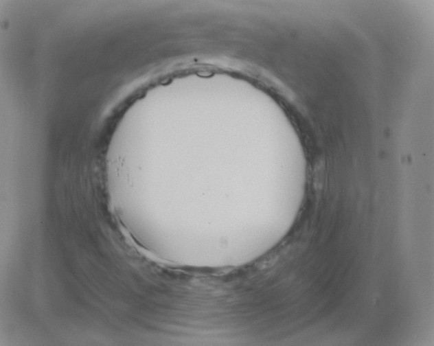 X0000082701496200702232217