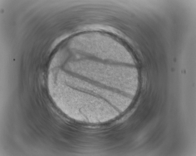 X0000082701497200702232217