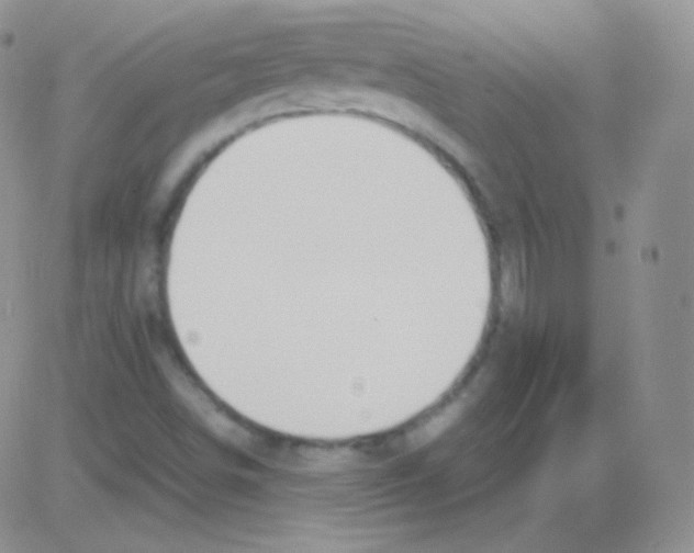 X0000082701498200702232217