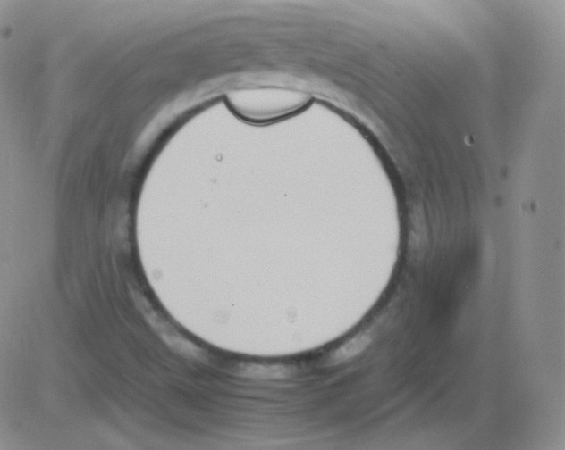 X0000082701499200702232217