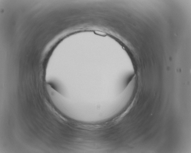 X0000082701502200702232217