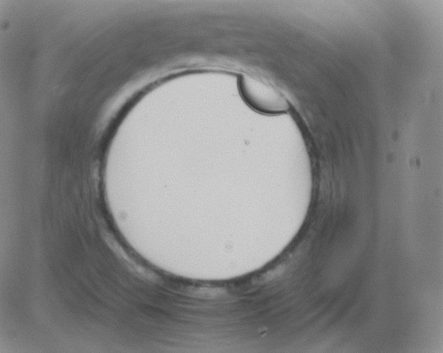 X0000082701503200702232217