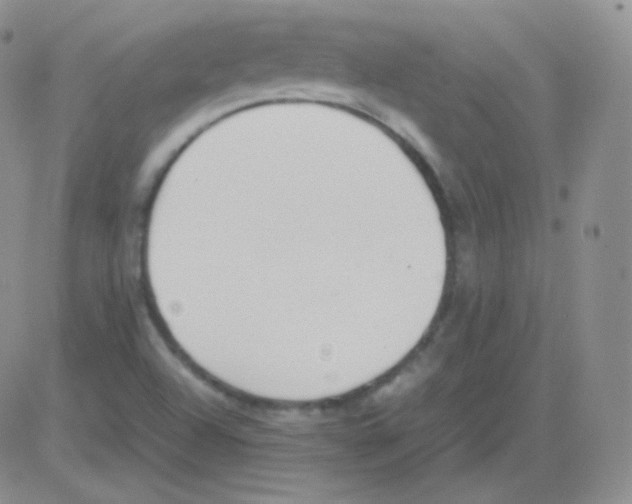 X0000082701504200702232217