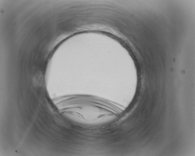 X0000082701505200702232217