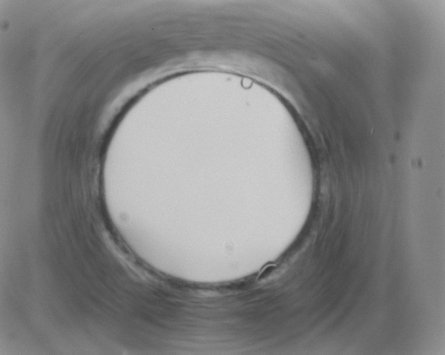 X0000082701507200702232217