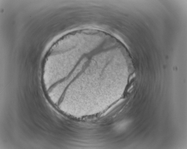 X0000082701508200702232217