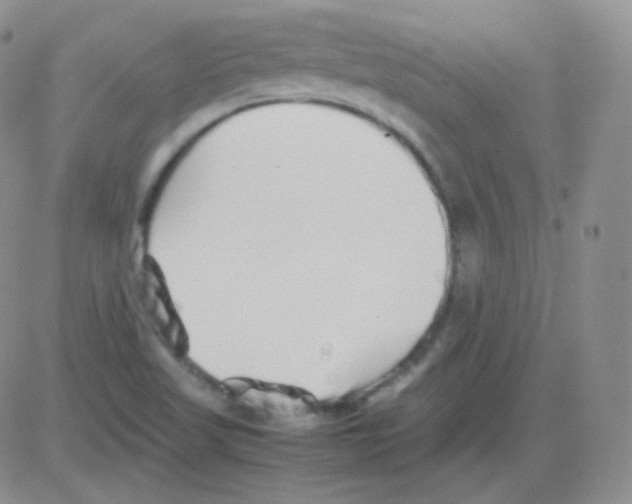 X0000082701509200702232217