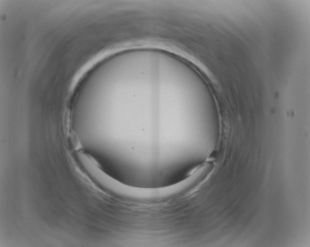 X0000082701510200702232217