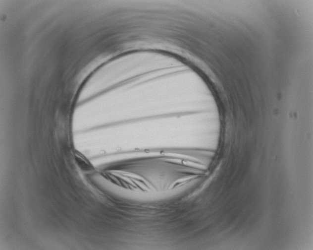 X0000082701513200702232217