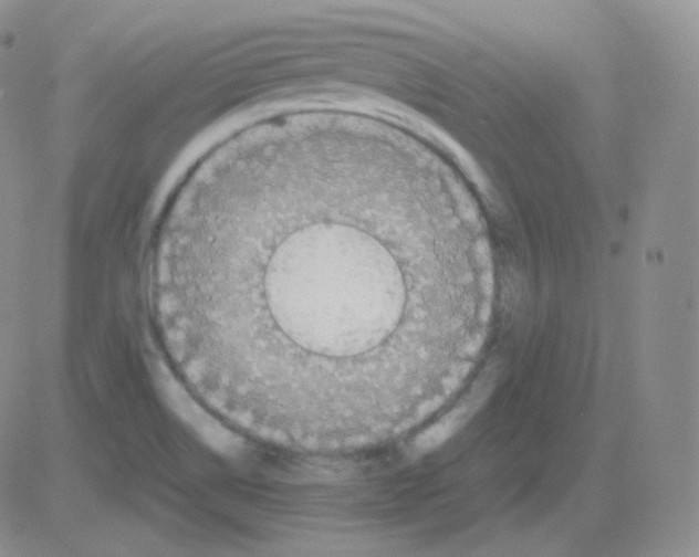 X0000082701514200702232217