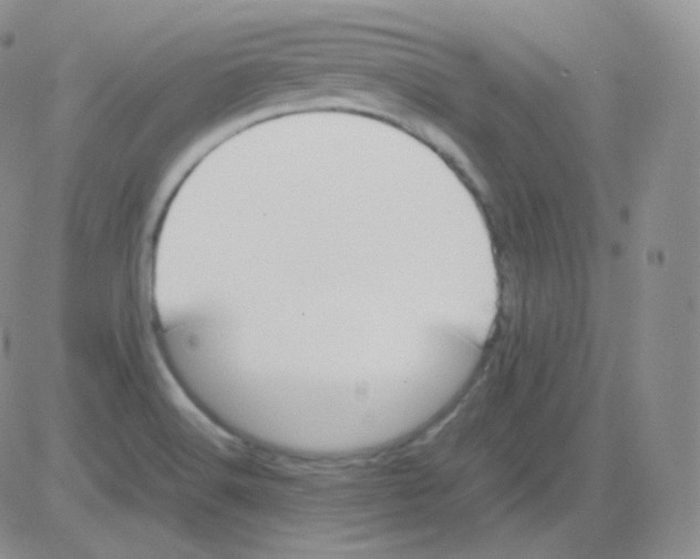 X0000082701516200702232217