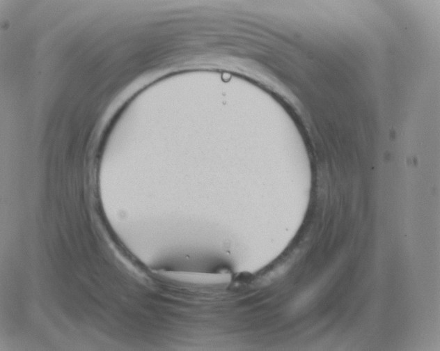 X0000082701517200702232217