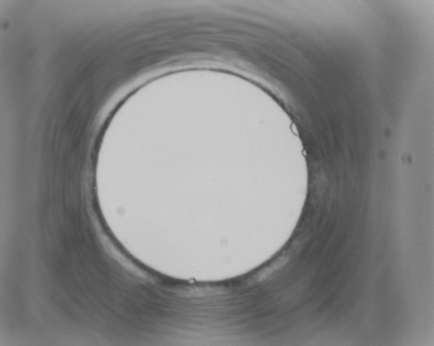 X0000082701518200702232217