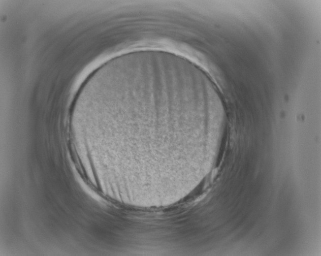 X0000082701519200702232217