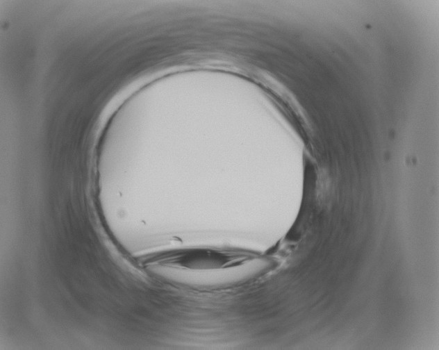 X0000082701520200702232217