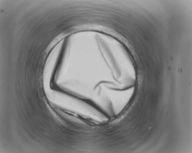 X0000082701521200702232217