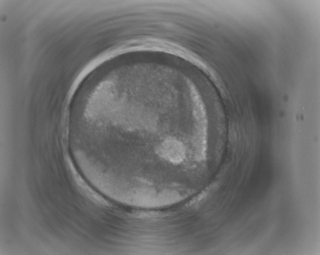 X0000082701522200702232217