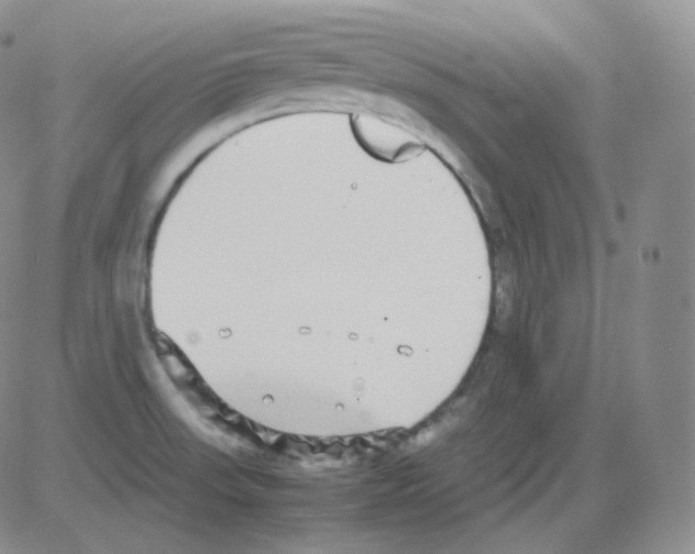 X0000082701523200702232217