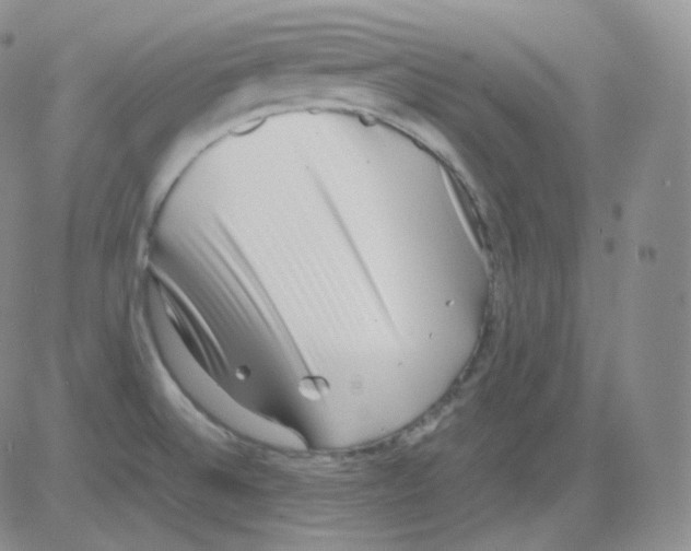 X0000082701524200702232217