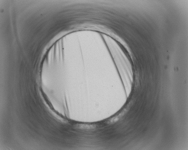 X0000082701525200702232217