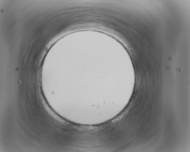 X0000082701526200702232217