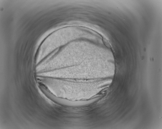 X0000082701527200702232217