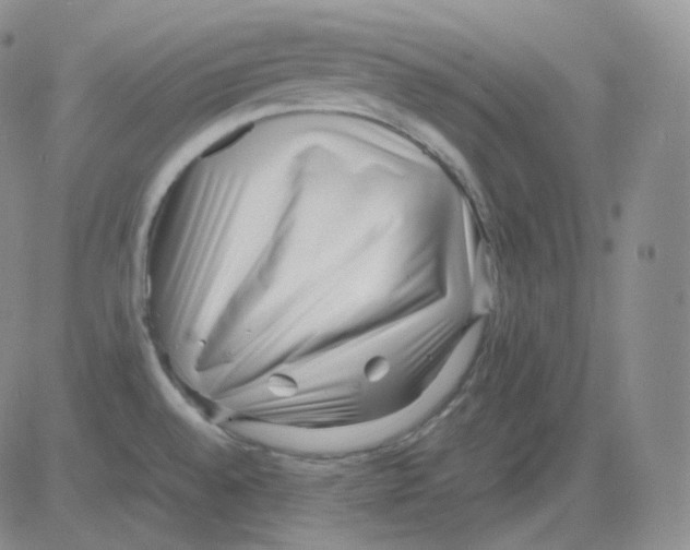 X0000082701528200702232217