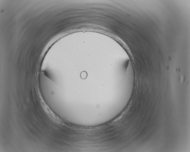 X0000082701530200702232217