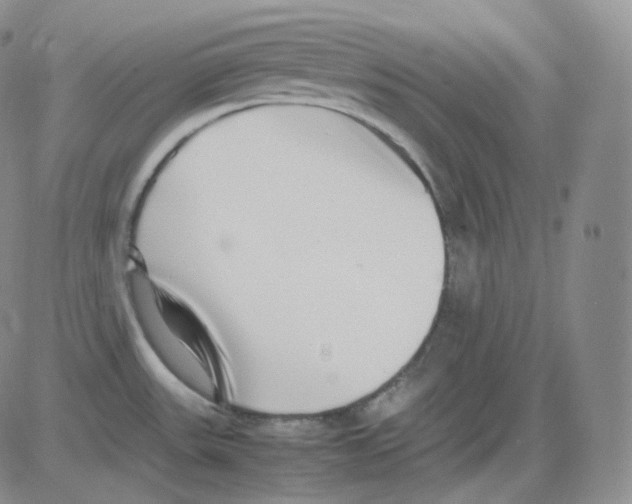 X0000082701531200702232217