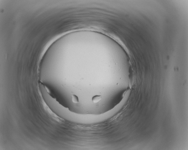 X0000082701532200702232217