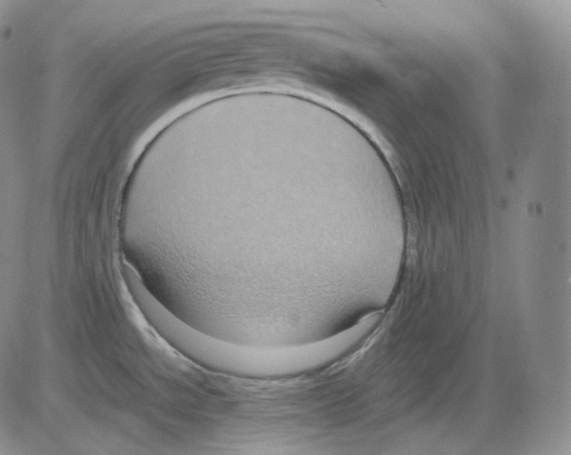 X0000082701534200702232217